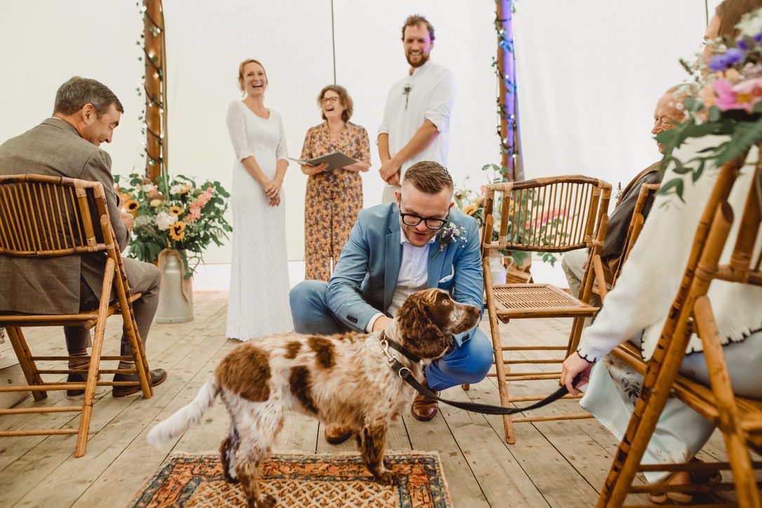 An unforgettable wedding ceremony where the couple's springer spaniel dog delivers the rings to the best man. The bride and groom and celebrant are laughing in the background